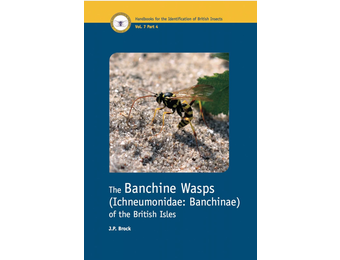 The Banchine Wasps (Ichneumonidae: Banchinae) of the British Isles