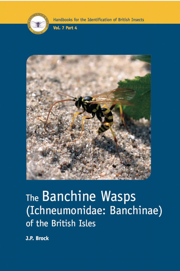 RES Handbook, Volume 7, Part 4: The Banchine Wasps (Ichneumonidae: Banchinae) of the British Isles