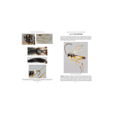 RES Handbook, Volume 7, Part 12: The Ichneumonid Wasps (Hymenoptera: Ichneumonidae): their Classification and Biology