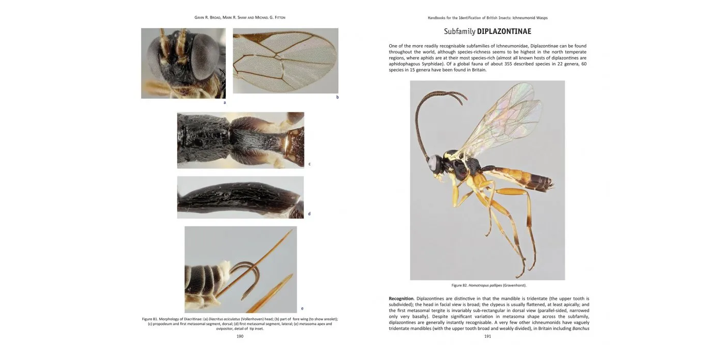 The Ichneumonid Wasps (Hymenoptera: Ichneumonidae): their Classification and Biology