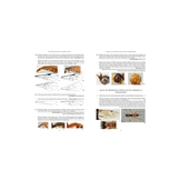 RES Handbook, Volume 7, Part 12: The Ichneumonid Wasps (Hymenoptera: Ichneumonidae): their Classification and Biology