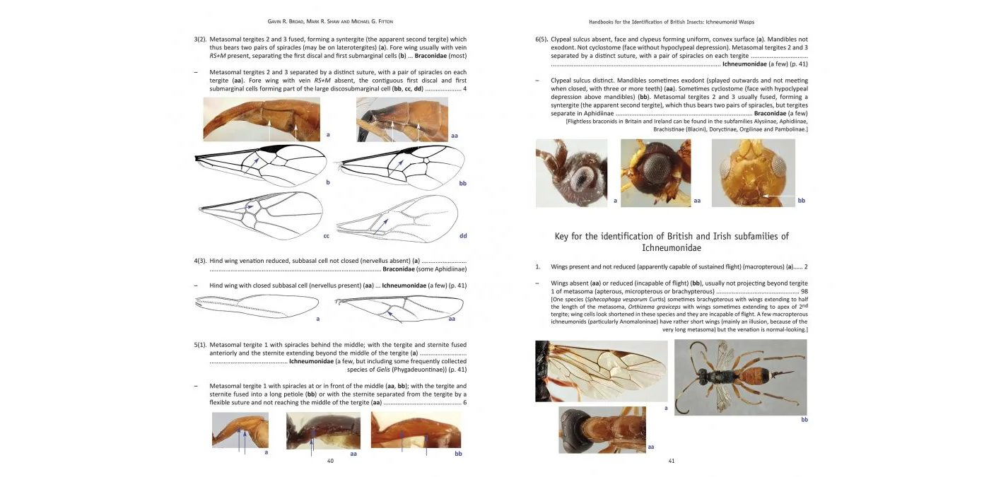 The Ichneumonid Wasps (Hymenoptera: Ichneumonidae): their Classification and Biology