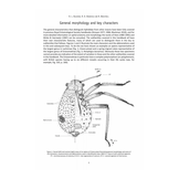 RES Handbook, Volume 2, Part 8: Aphids - Anoeciinae, Lachninae, Eriosomatinae, Phloeomyzinae, Thelaxinae, Hormaphidinae, Mindarinae