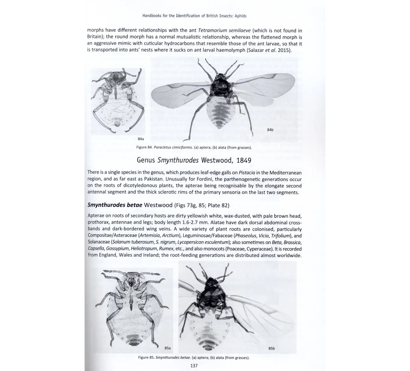 RES Handbook, Volume 2, Part 8: Aphids - Anoeciinae, Lachninae, Eriosomatinae, Phloeomyzinae, Thelaxinae, Hormaphidinae, Mindarinae