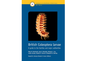 British Coleoptera Larvae
