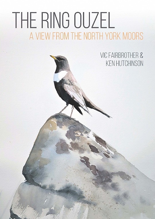 The Ring Ouzel - A View from the North York Moors