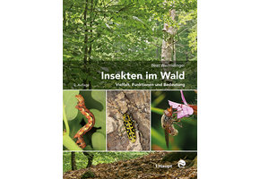 Insekten im Wald