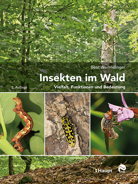 Insekten im Wald  - Vielfalt, Funktionen und Bedeutung