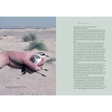 Geluksvogel - Een kleine biografie van de Amsterdamse natuur