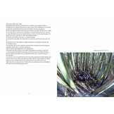 Geluksvogel - Een kleine biografie van de Amsterdamse natuur