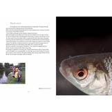 Geluksvogel - Een kleine biografie van de Amsterdamse natuur