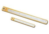 Ruler