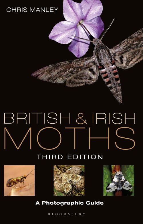 British & Irish Moths - A Photographic Guide