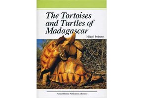 Tortoises and Turtles of Madagascar