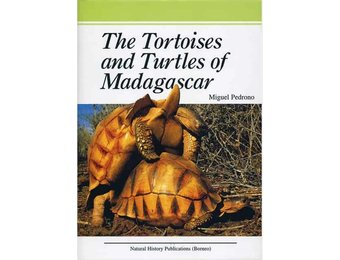 Tortoises and Turtles of Madagascar