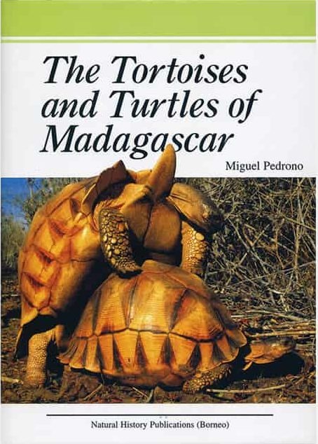 Tortoises and Turtles of Madagascar