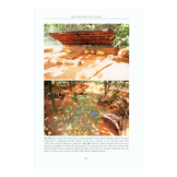 Tortoises and Turtles of Madagascar