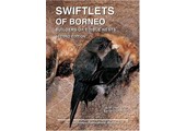 Swiftlets of Borneo