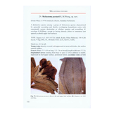 The Genus Melastoma in Borneo - Including 31 New Species