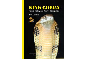 King Cobra