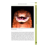 King Cobra - Natural History and Captive Management