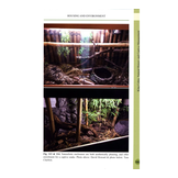 King Cobra - Natural History and Captive Management