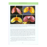 Bulbophyllum of Borneo