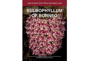 Bulbophyllum of Borneo