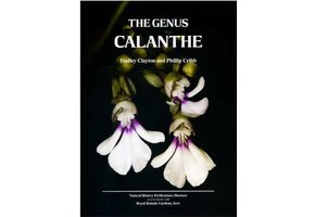 The Genus Calanthe