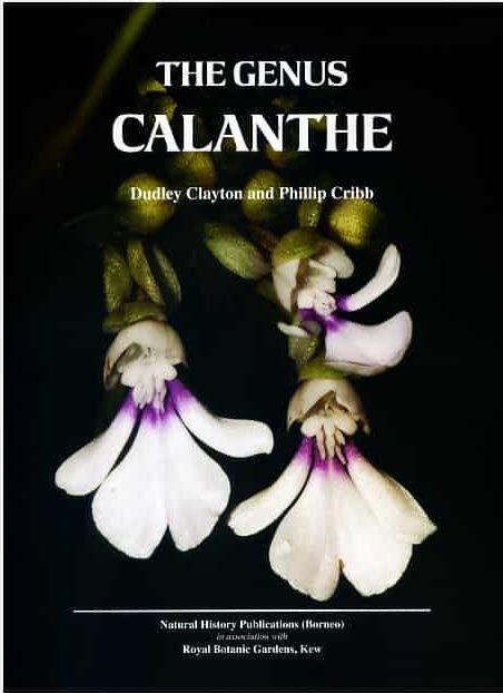 The Genus Calanthe