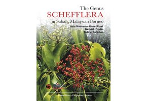 The Genus Schefflera in Sabah, Malaysian Borneo
