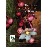 The Genus Saurauia in Borneo