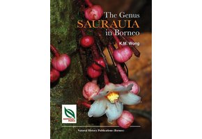 The Genus Saurauia in Borneo