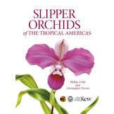 Slipper Orchids of The Tropical Americas