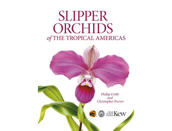 Slipper Orchids of The Tropical Americas