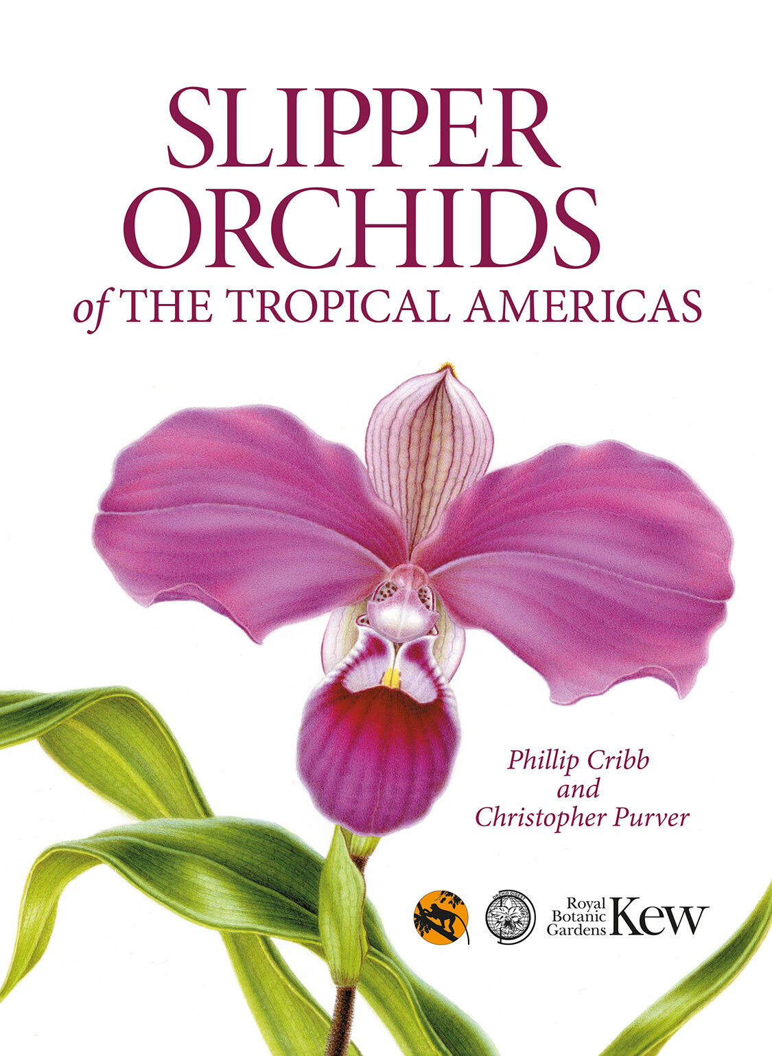 Slipper Orchids of The Tropical Americas