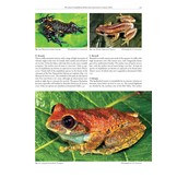 Status and Threats of Afrotropical Amphibians - Sub-Saharan Africa, Madagascar, Western Indian Ocean Islands