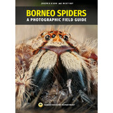 Borneo Spiders - A Photographic Field Guide
