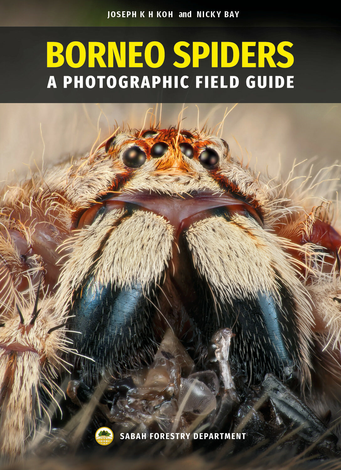 Borneo Spiders - A Photographic Field Guide