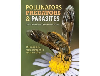 Pollinators, Predators & Parasites