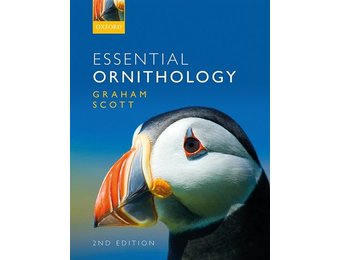 Essential Ornithology