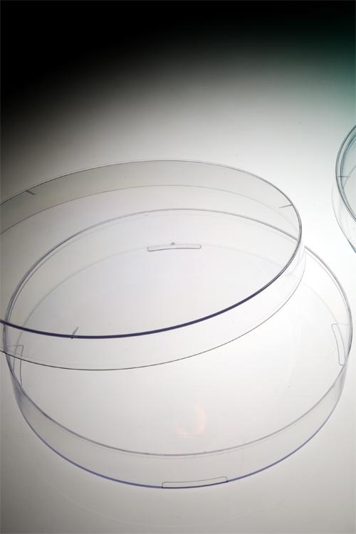 Petrischale 140mm, (Lieferung pro Rolle zu 11 Stück)