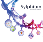 Sylphium