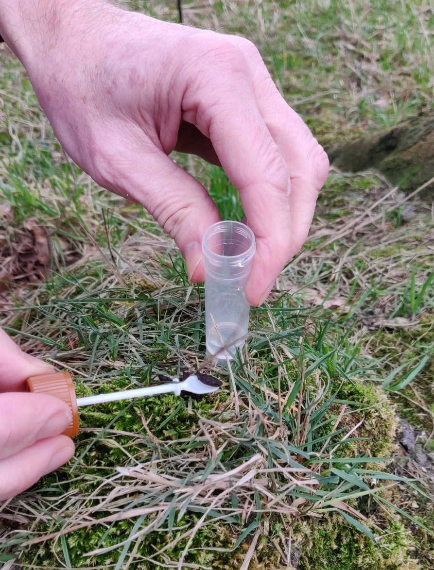 Kot-Probenahme-Kit (20x)