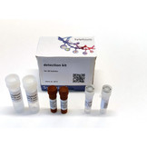 Trichobilharzia sp. eDNA qPCR Detection Kit