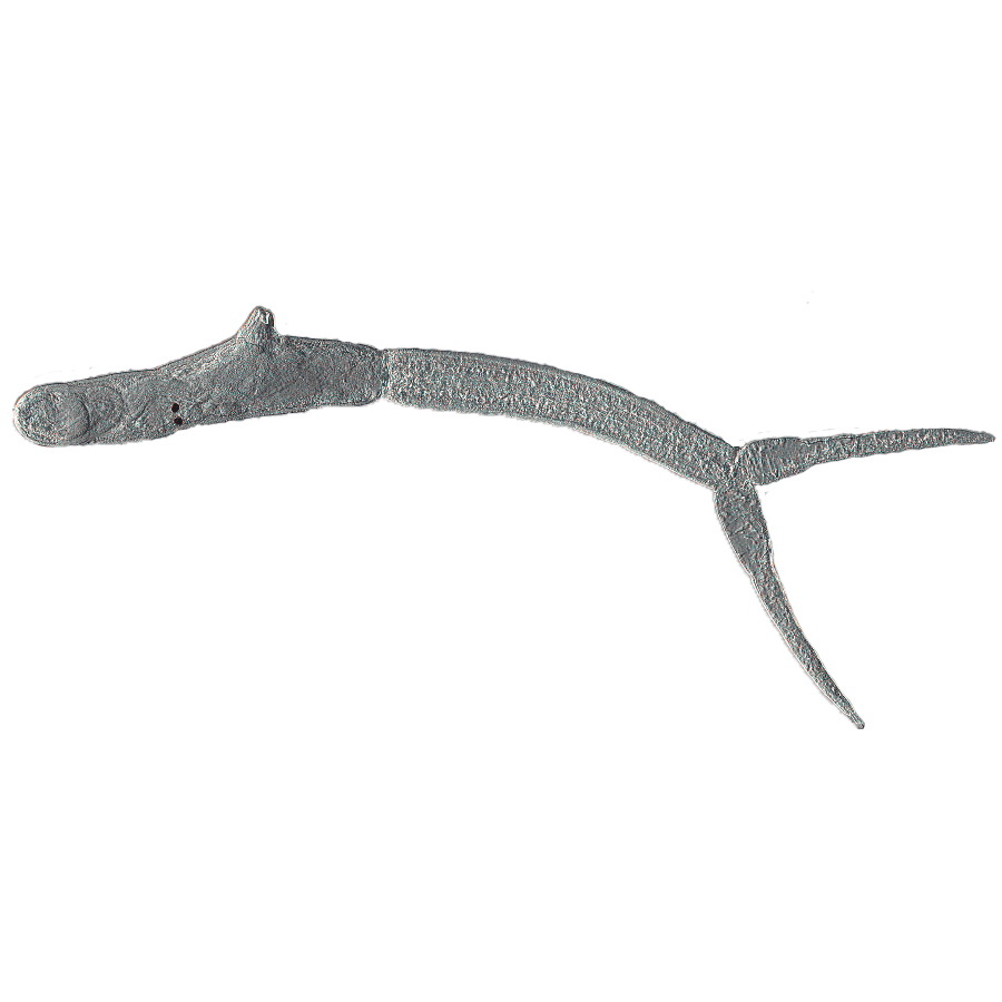 Trichobilharzia sp. eDNA qPCR Detectiekit