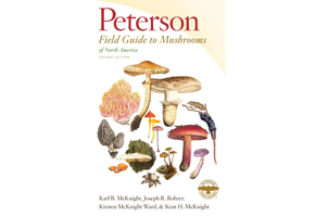 Peterson Field Guide to Mushrooms of North America