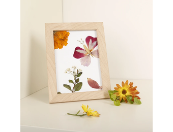 Huckleberry Stellen Sie Ihre eigenen gepressten Blumenrahmen her Kunstwerke