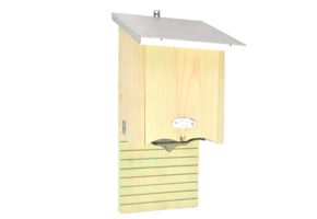 Fledermausbox Silhouette S