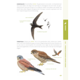 De Gewiekste Vogelgids